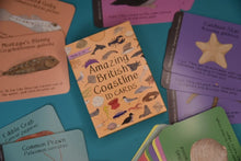 Load image into Gallery viewer, Amazing British Coastline ID Cards