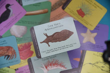 Load image into Gallery viewer, Amazing British Coastline ID Cards