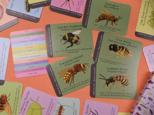 Load image into Gallery viewer, Amazing British Bugs ID Cards