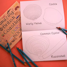 Load image into Gallery viewer, Amazing British Coastline Colouring Book
