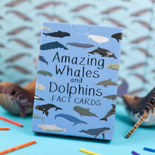 Load image into Gallery viewer, Amazing Whales and Dolphins Fact Cards