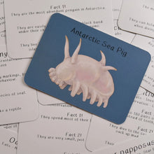 Load image into Gallery viewer, Amazing Polar Animals Fact Cards