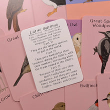 Load image into Gallery viewer, Amazing Birds of the British Isles Fact Cards