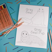 Load image into Gallery viewer, Amazing Baby Animals Colouring Book