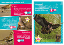 Load image into Gallery viewer, I Spy Birds