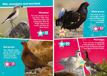 Load image into Gallery viewer, I Spy Birds