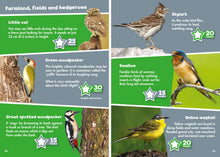 Load image into Gallery viewer, I Spy Birds