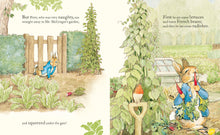 Load image into Gallery viewer, TALE OF PETER RABBIT PICTURE BOOK (BOARD BOOK)