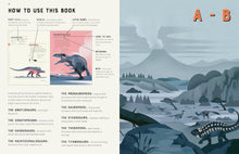 Load image into Gallery viewer, DICTIONARY OF DINOSAURS