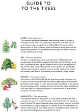 Load image into Gallery viewer, Tree Bingo