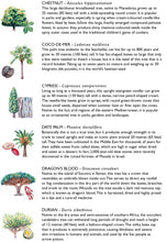 Load image into Gallery viewer, Tree Bingo