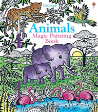 Load image into Gallery viewer, Usborne Magic Painting Books