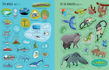 Load image into Gallery viewer, FIRST STICKER BOOK: PLANET EARTH