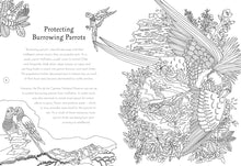 Load image into Gallery viewer, Return Of The Wild Colouring Book