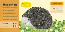 Load image into Gallery viewer, My first book of woodland animals