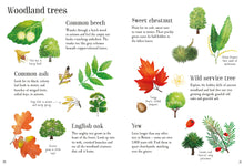 Load image into Gallery viewer, NATURE SPOTTING GUIDE