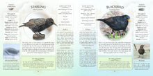 Load image into Gallery viewer, WHATS THAT GARDEN BIRD