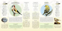 Load image into Gallery viewer, WHATS THAT GARDEN BIRD