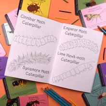 Load image into Gallery viewer, Amazing British Bugs Colouring Book