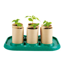 Load image into Gallery viewer, Hape - Growing Gardeners Greenhouse