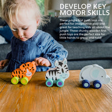 Load image into Gallery viewer, Orange Tree - First Push Toy - Zebra