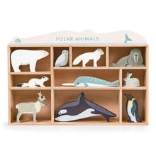 Load image into Gallery viewer, Tenderleaf Polar Shelf Set