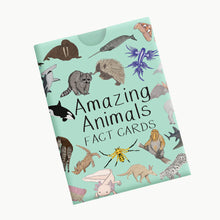 Load image into Gallery viewer, Amazing Animals Fact Cards Set One