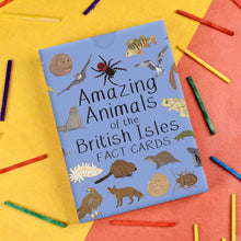 Load image into Gallery viewer, Amazing Animals Of The British Isles Fact Cards