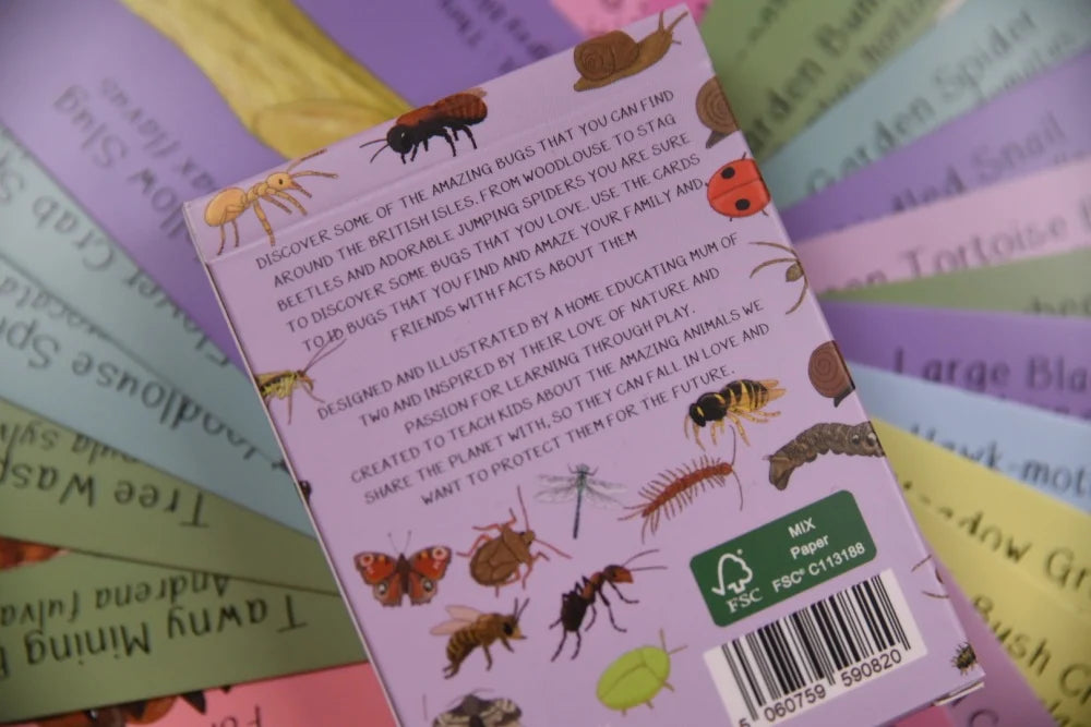 Amazing British Bugs ID Cards