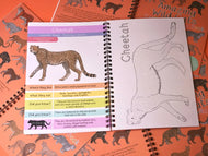 Amazing Wild Cats Fact and Activity Book