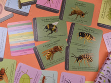 Load image into Gallery viewer, Amazing British Bugs ID Cards
