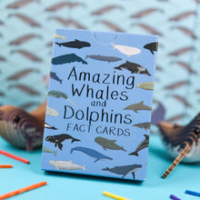 Load image into Gallery viewer, Amazing Whales and Dolphins Fact Cards
