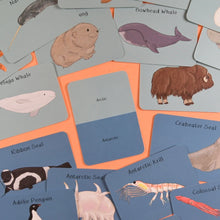 Load image into Gallery viewer, Amazing Polar Animals Fact Cards
