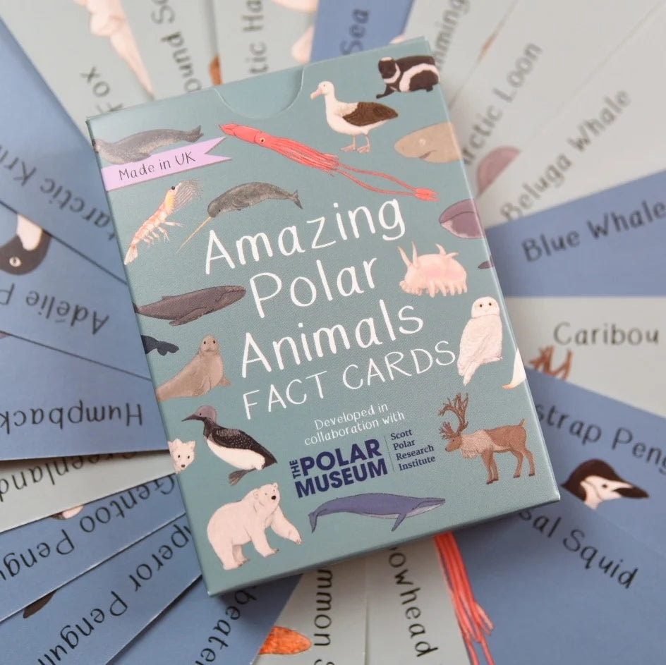 Amazing Polar Animals Fact Cards