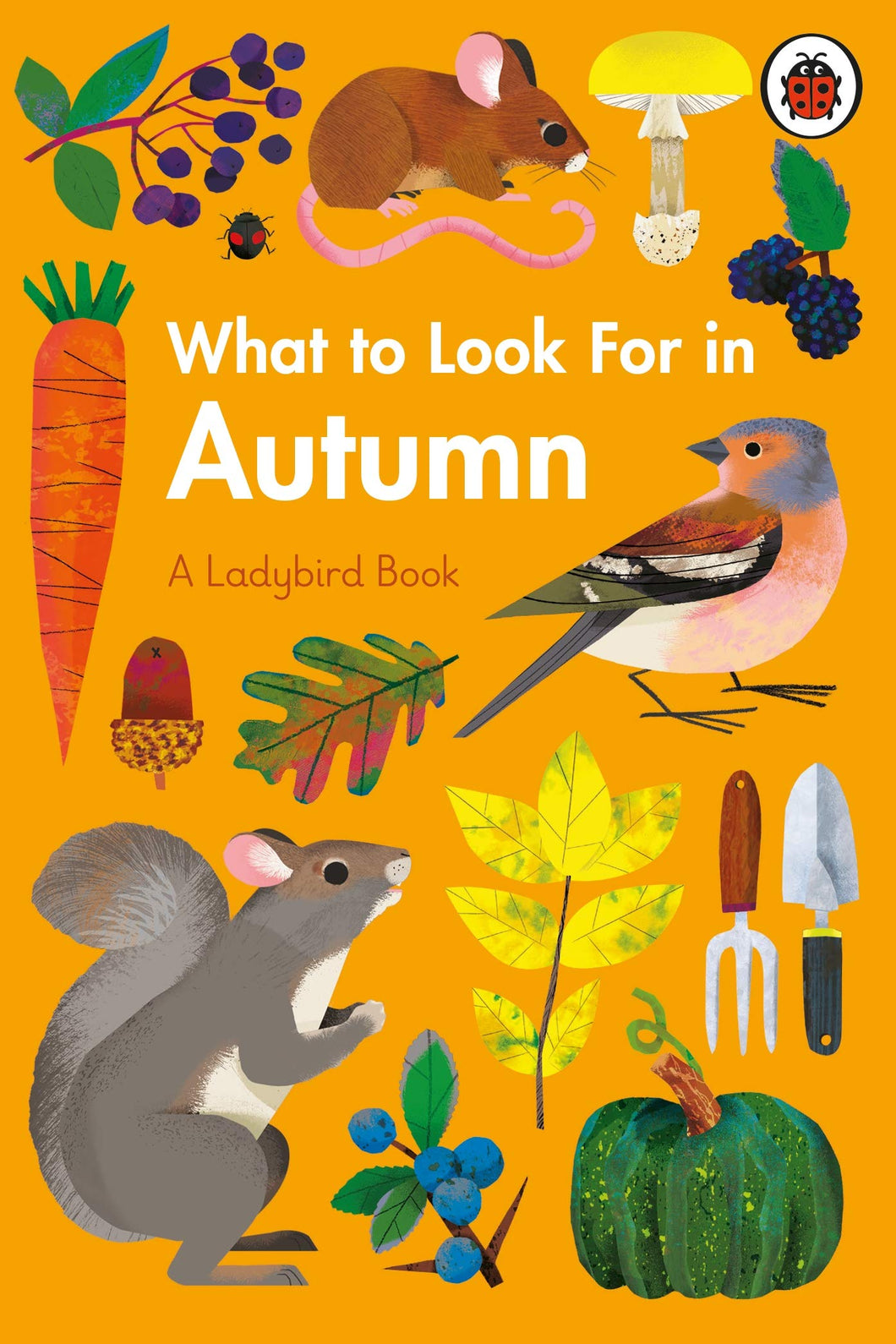 Ladybird -  What to look for in Autumn