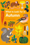 Ladybird -  What to look for in Autumn