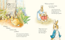 Load image into Gallery viewer, TALE OF PETER RABBIT PICTURE BOOK (BOARD BOOK)
