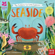 BIG OUTDOORS FOR LITTLE EXPLORERS: SEASIDE (BOARD)