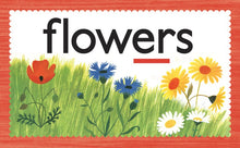 Load image into Gallery viewer, Phonics Flash Cards
