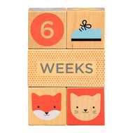 Petit Collage Wooden Milestone Baby Blocks