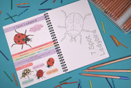 Amazing British Bugs Facts and Activity Book